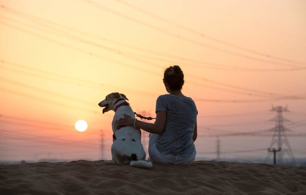 mulher assistindo o por do sol com seu cachorro após guarda compartilhada do cão
