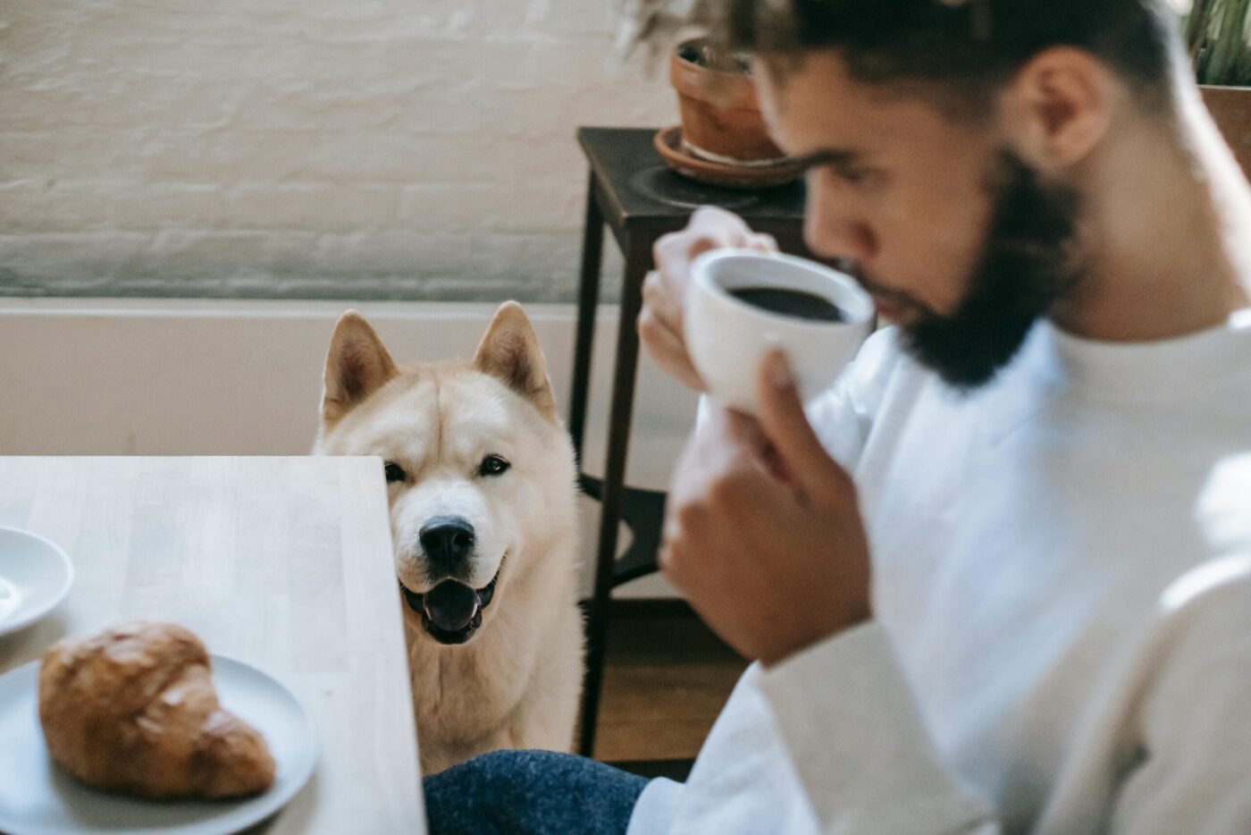 Homem consumindo alimentos que cachorro não pode comer