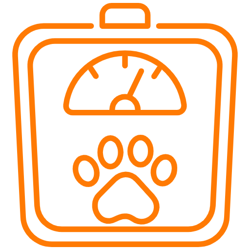 Weight Scale